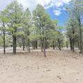 21 Branding Iron Road - Photo 53