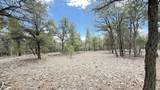 21 Branding Iron Road - Photo 55
