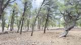 21 Branding Iron Road - Photo 56