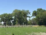 14 Off Melecio Lane - Photo 16