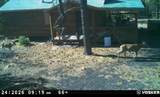 7889 Zuni Cyn Road - Photo 19