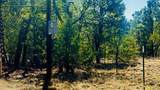 7889 Zuni Cyn Road - Photo 3