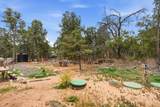 5 Camino Pequeno Loop - Photo 12