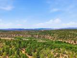 4495 New Mexico 112 - Photo 48
