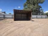 8 Kimberling Drive - Photo 46