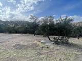 175 Hop Canyon Road - Photo 37