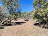 175 Hop Canyon Road - Photo 41