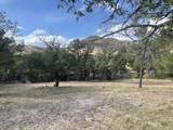 175 Hop Canyon Road - Photo 44