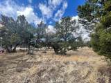 175 Hop Canyon Road - Photo 47