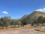 175 Hop Canyon Road - Photo 49