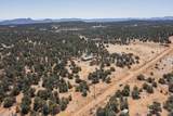 18 N Bar S Trail - Photo 44
