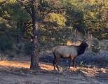 18 N Bar S Trail - Photo 48