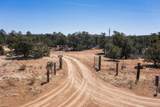 18 N Bar S Trail - Photo 55