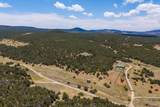 112 Sedillo Canyon Road - Photo 81