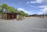 210 Josefita Road - Photo 53