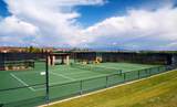 9 Tamarisk Trail - Photo 63