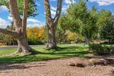 1623 Francisca Road - Photo 85