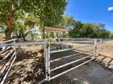 57 Edmundo Road - Photo 117