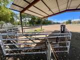 57 Edmundo Road - Photo 120