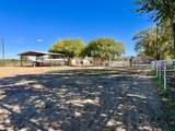 57 Edmundo Road - Photo 127