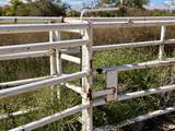 57 Edmundo Road - Photo 130
