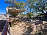 57 Edmundo Road - Photo 141
