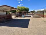 57 Edmundo Road - Photo 75