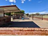 57 Edmundo Road - Photo 76