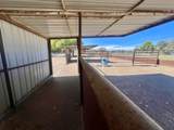 57 Edmundo Road - Photo 77