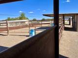 57 Edmundo Road - Photo 80