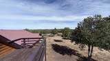 47 Pinewood Circle - Photo 33