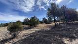 47 Pinewood Circle - Photo 55