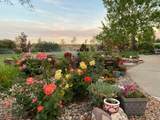 800 Jim Street - Photo 11