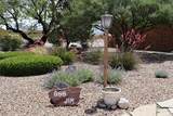 800 Jim Street - Photo 14