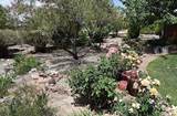 800 Jim Street - Photo 17