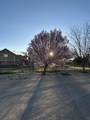 2686 Della Road - Photo 49