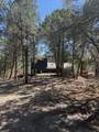 23 Skyland Boulevard - Photo 35