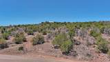 49 Thunder Mountain Road - Photo 10