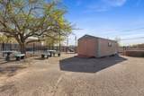 1508 Edith Boulevard - Photo 66