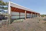 95 Lesperance Road - Photo 63