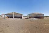 95 Lesperance Road - Photo 65