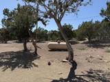 9402 A Nm 337 - Photo 44