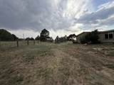 3 Brent Lane - Photo 49