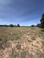 3 Brent Lane - Photo 52