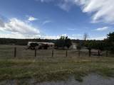 3 Brent Lane - Photo 60