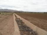  Carrasco Farm Lane Road - Photo 16