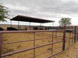  Carrasco Farm Lane Road - Photo 24
