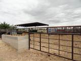  Carrasco Farm Lane Road - Photo 25