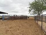  Carrasco Farm Lane Road - Photo 26