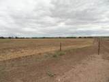  Carrasco Farm Lane Road - Photo 32